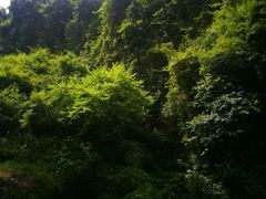 -龙潭生态旅游度假区