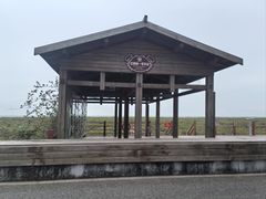 -北海金海湾红树林生态旅游区