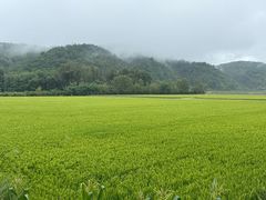 -南泥湾风景区