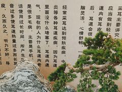 -悦享采耳·洗头头疗·推拿SPA(杭州店)
