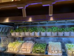 -星伦多自助料理·涮烤一体(江桥万达店)