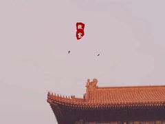 -故宫博物院(故宫)