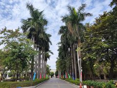 -佛山市第一中学