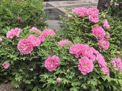 -大钟寺古钟博物馆