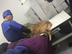 -达爱动物医院·犬猫分区·CT·复杂眼科(远洋山水分院)