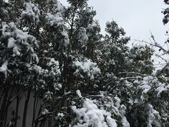 -宫廷糕点铺