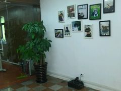 -鑫艺宠物美容培训学校