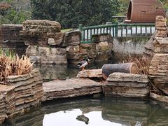 -东湖落雁景区
