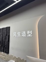 -风生造型