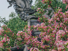 -棠湖公园