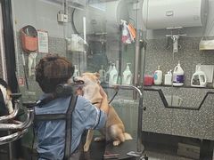 -宠物家(长阳店)