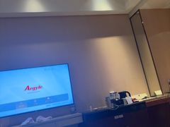 -电谷雅阁国际大酒店