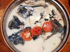 -全乐鱼馆·淳牌有机鱼直营店