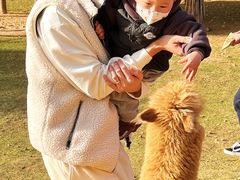 -泉州海丝野生动物世界