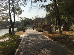 -东莞植物园