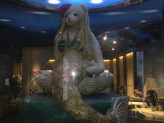 -成都泰迪熊博物馆