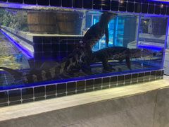 -川骄海鲜自助(河东店)