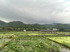 -红山村
