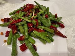-丁老爷子苏香圆