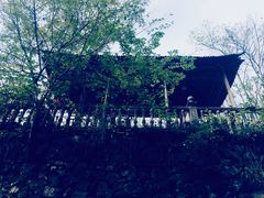 -天目山大树王景区