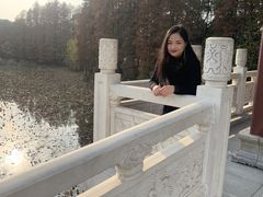 -东湖落雁景区