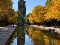 -玲珑塔公园