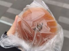 -多乐之日(五道口店)