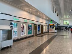 -米兰马尔彭萨国际机场