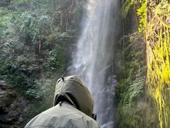 -莫里热带雨林景区