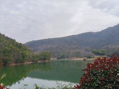 -桃花岭景区