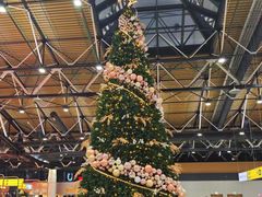 -谢列梅捷沃国际机场