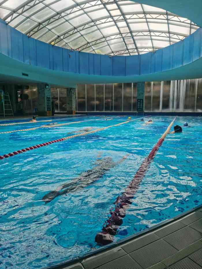 菲鱼体育恒温游泳馆(中海名城店)