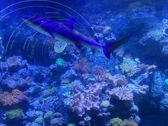 -江和美海洋公园