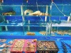 水产区-1910老鲁味海鲜·戳子肉·青岛菜(金沙滩店)