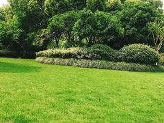 -杭州城北体育公园