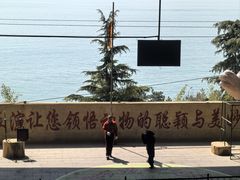 -东方熊牧场