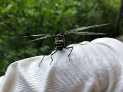 -碓臼峪自然风景区