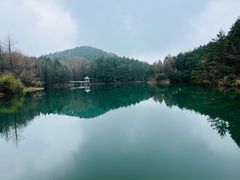 -四明山国家森林公园