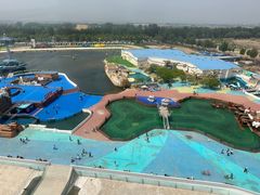 -秦皇岛乐岛海洋王国