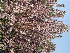 -天津东丽湖风景区