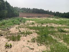 -秦始皇帝陵博物院-丽山园