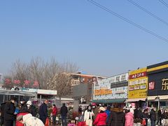-中环花鸟鱼虫市场