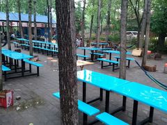 -龙裕山庄烤全羊