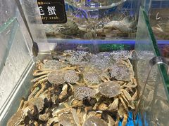 -加餐海鲜自助(宝龙一城店)