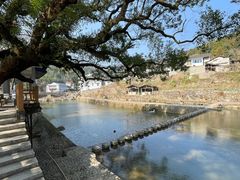 -泽雅景区
