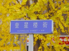 -奎星楼街