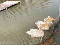 -宁波杭州湾国家湿地公园