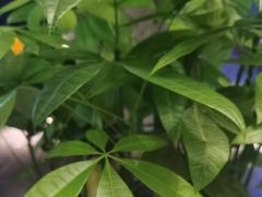 -西郊八号·山野江西菜(开发区店)