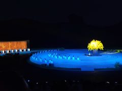 -鼎盛王朝康熙大典实景演出