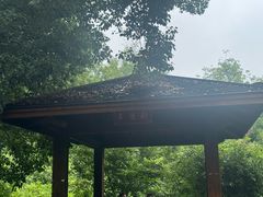 -青龙山国家森林公园